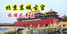 男人鸡吧爆起青筋开始操女人中国北京-东城古宫旅游风景区